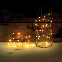 Wired LED Copper Lights main image