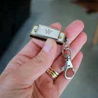 World's Smallest Harmonica main image
