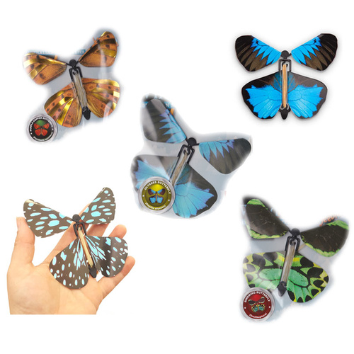 Wind Up Australian Butterfly 5 Pack