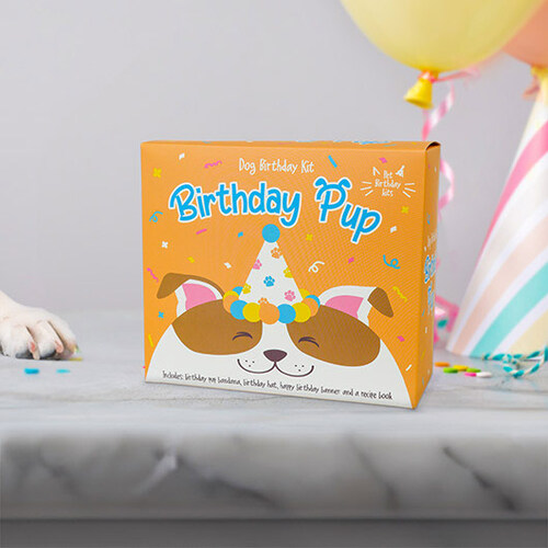 Birthday Pup Dog Birthday Kit