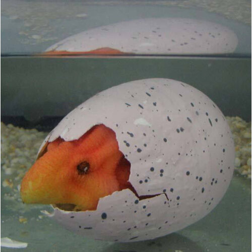 Cracked Dinosaur Egg - Hatch and Grow