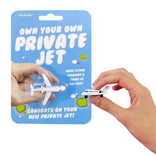 Own Your Own Private Jet Fulfil your childhood dreams... With