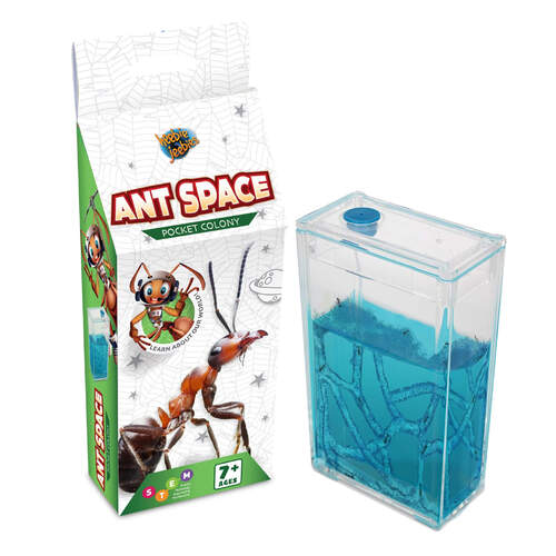 Ant Farm Pocket Colony A firsthand look at what goes on underground!