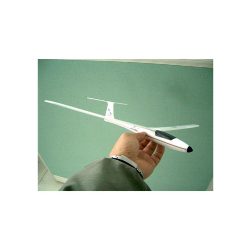 Hand Launch Glider