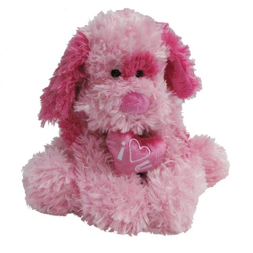 Poochie the Dog | Adorable Pooch