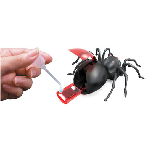 Salt Water Spider Kit