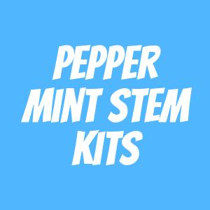 Pepper Mint STEM Kits